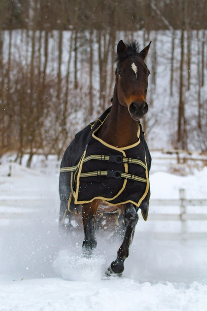 Noble Equestrian 4-in-1 Guardsman Turnout Blanket