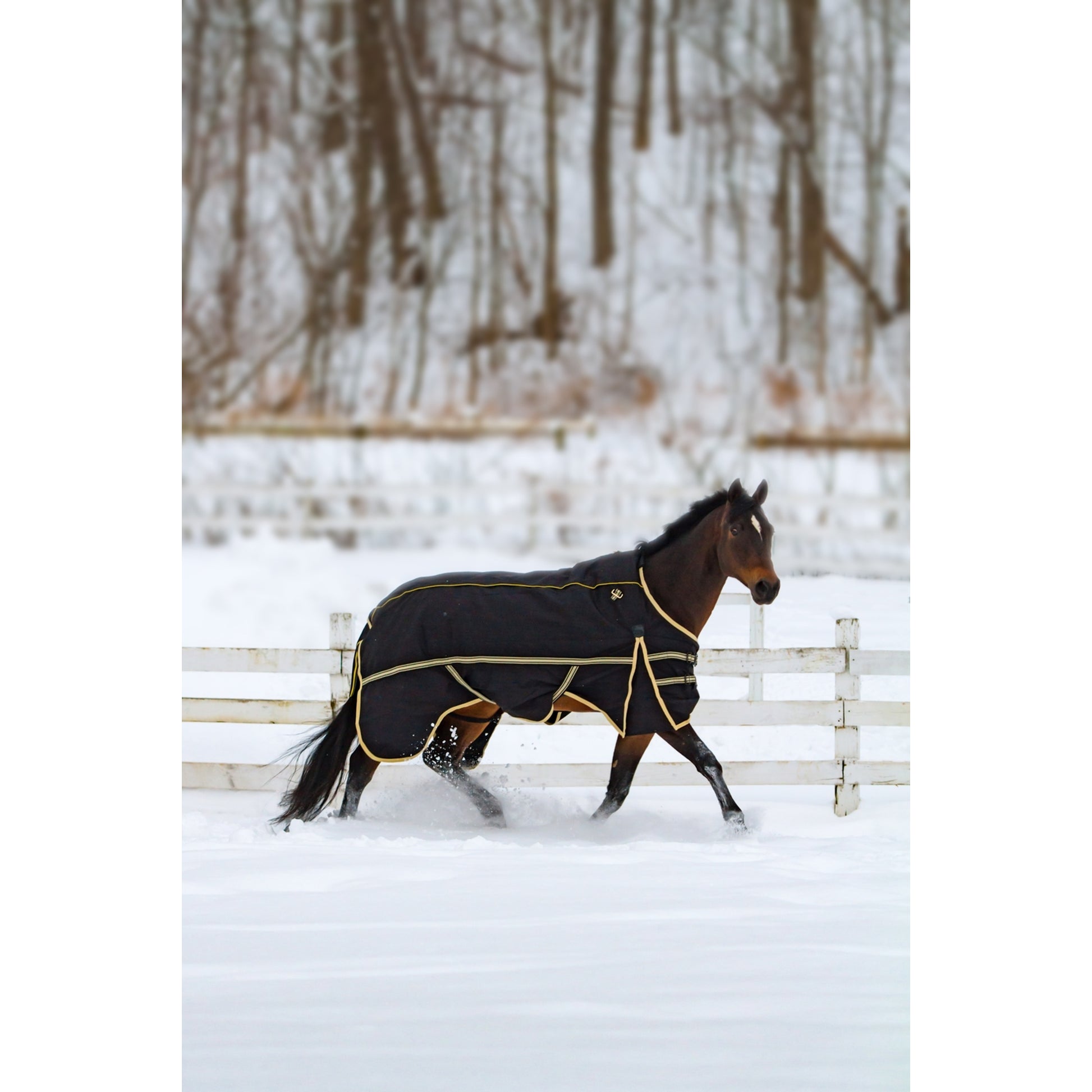 Noble Equestrian 4-in-1 Guardsman Turnout Blanket
