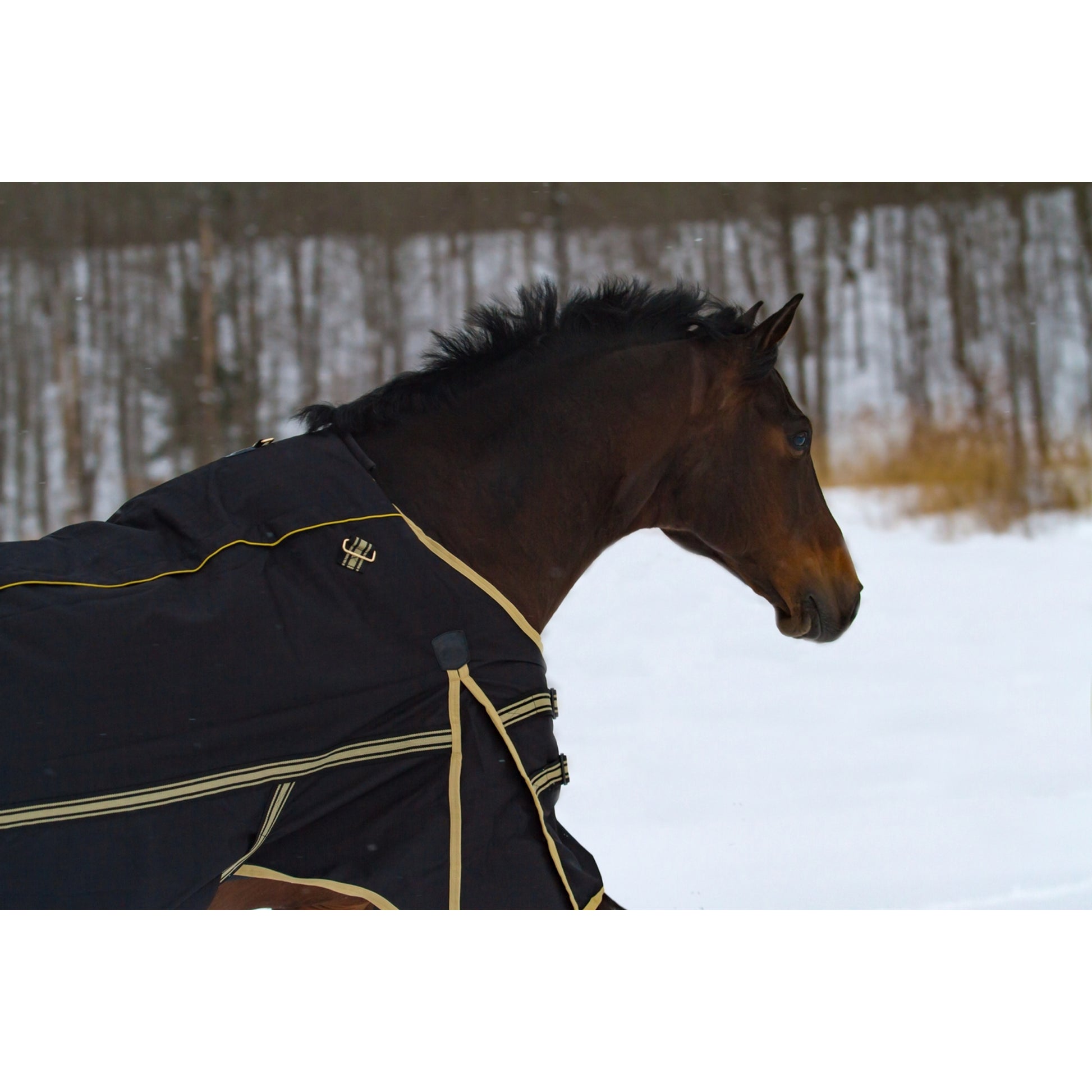 Noble Equestrian 4-in-1 Guardsman Turnout Blanket