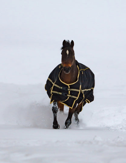 Noble Equestrian 4-in-1 Guardsman Turnout Blanket