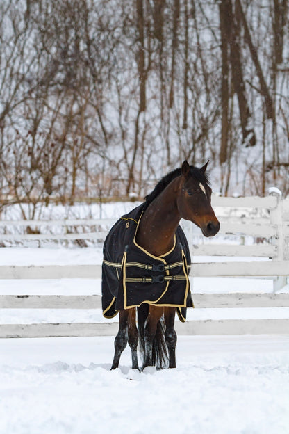Noble Equestrian 4-in-1 Guardsman Turnout Blanket