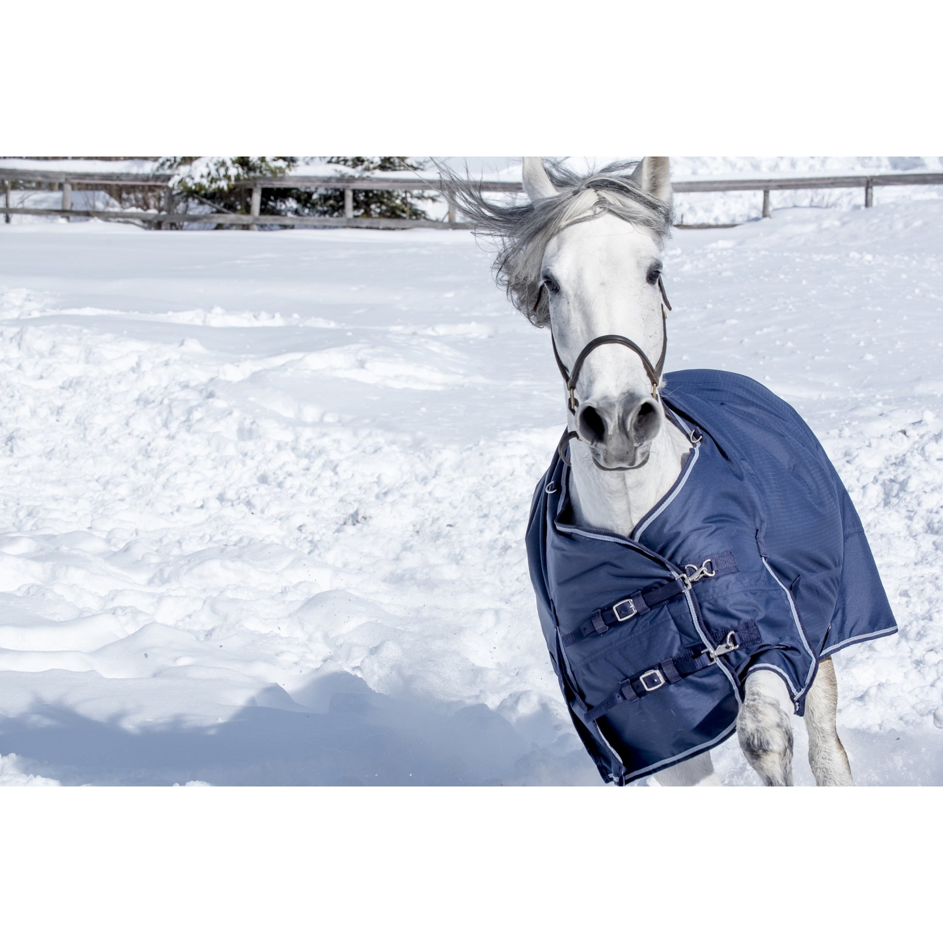 Equi-Sky Classic Medium Weight Turnout Blanket