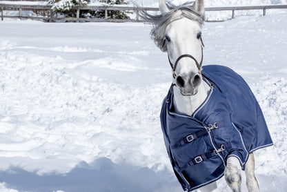 Equi-Sky Classic Medium Weight Turnout Blanket