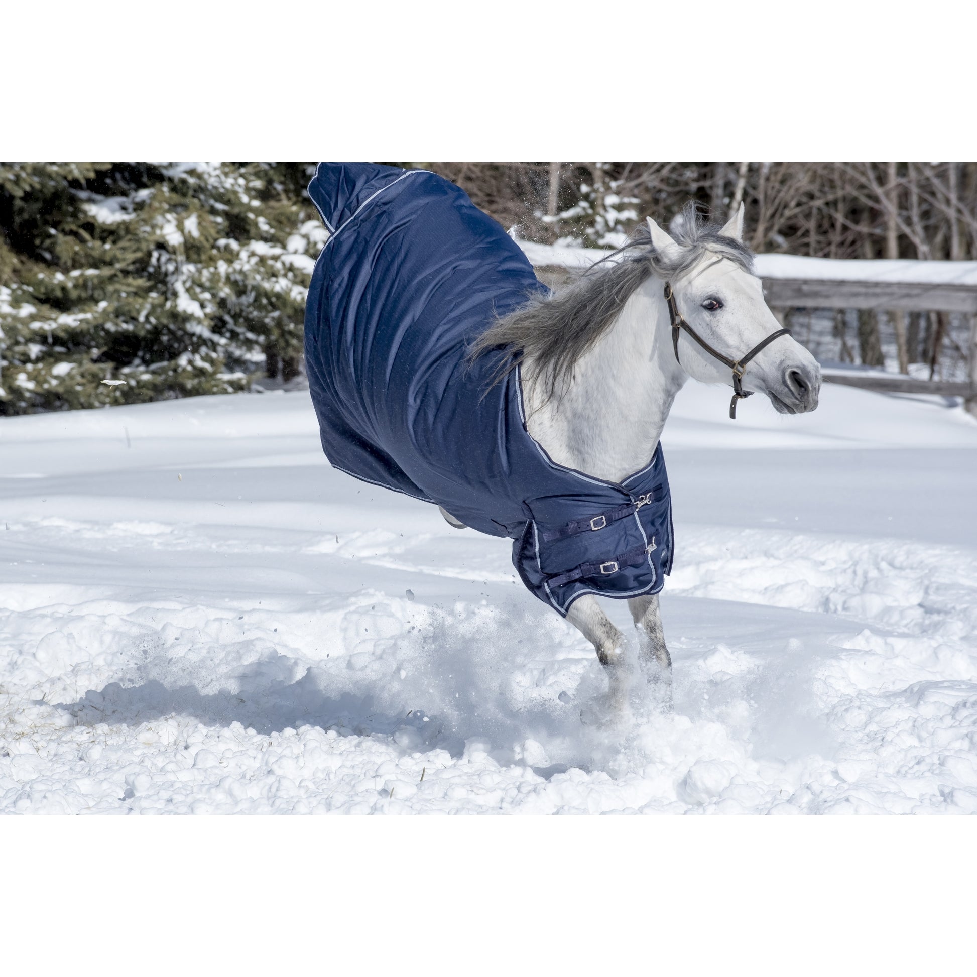 Equi-Sky Classic Medium Weight Turnout Blanket