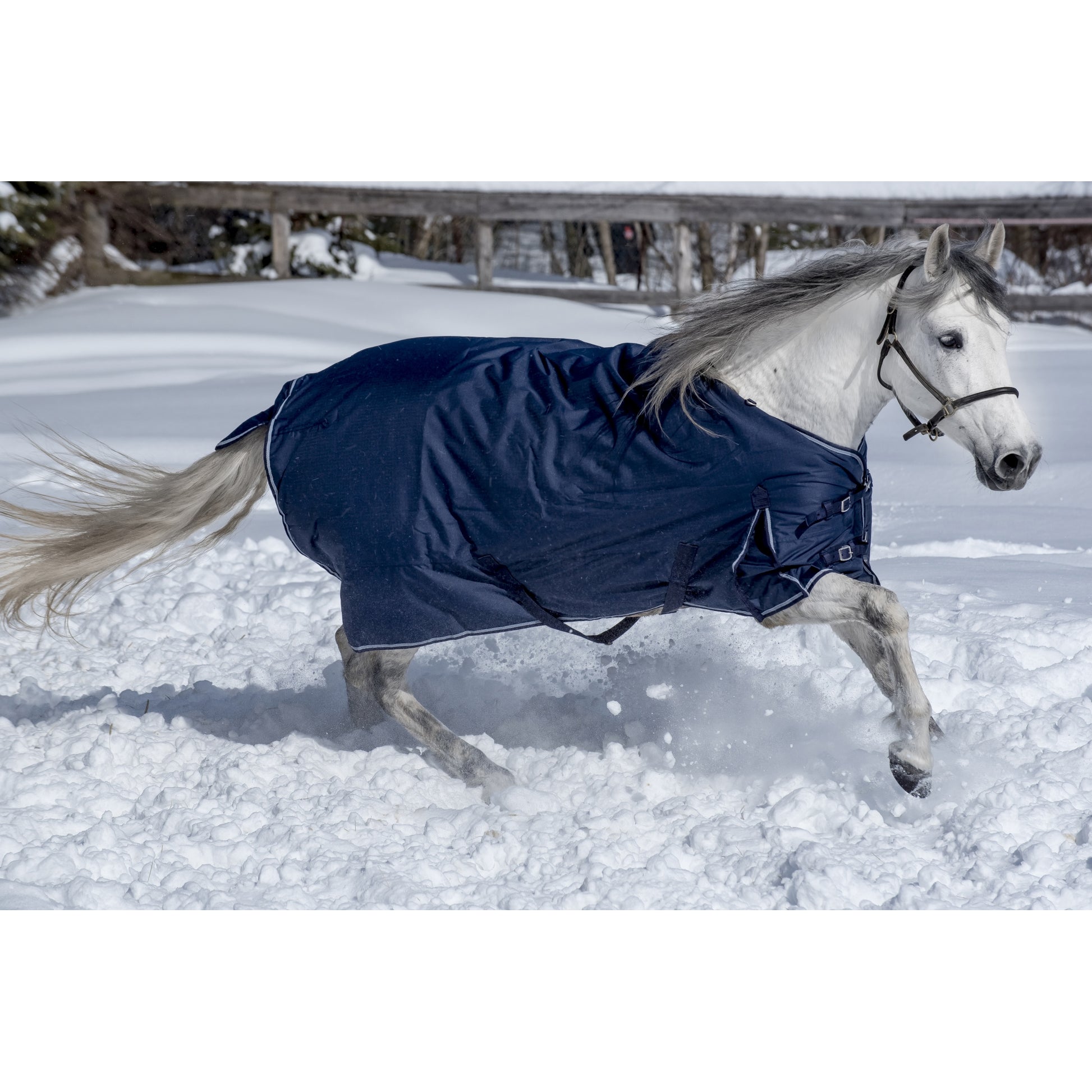 Equi-Sky Classic Medium Weight Turnout Blanket