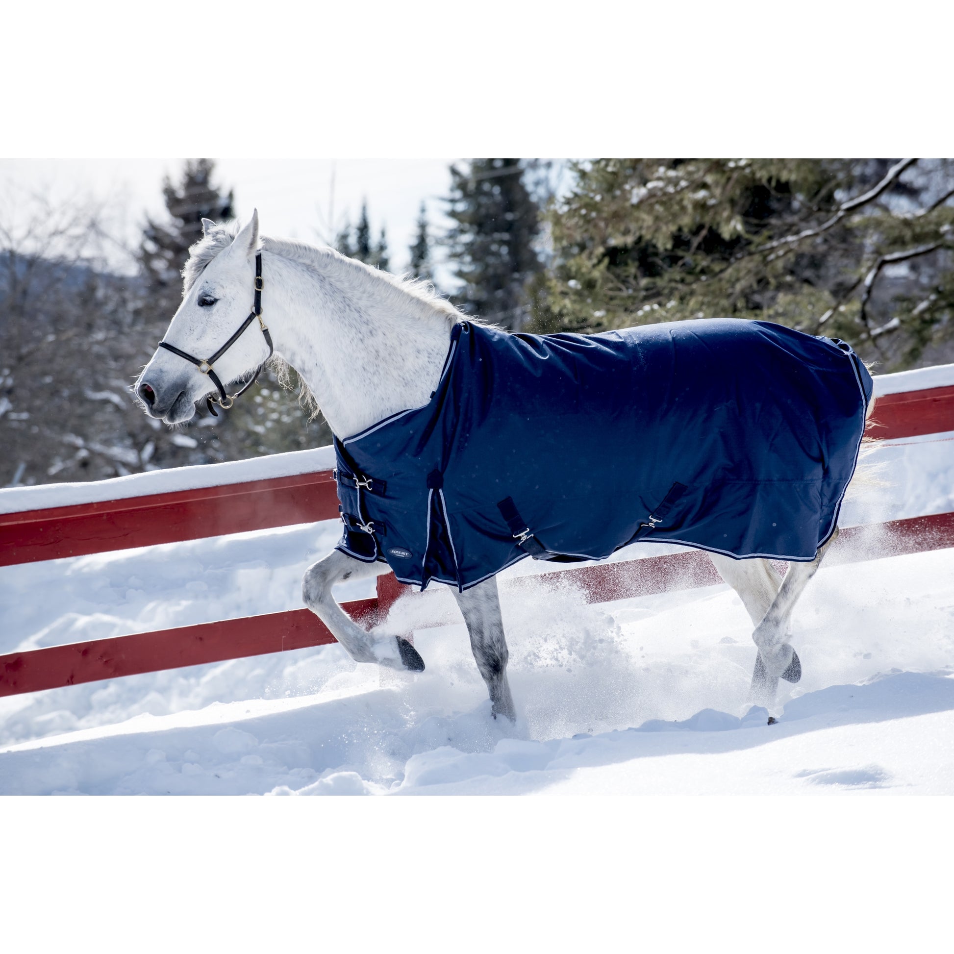 Equi-Sky Classic Medium Weight Turnout Blanket