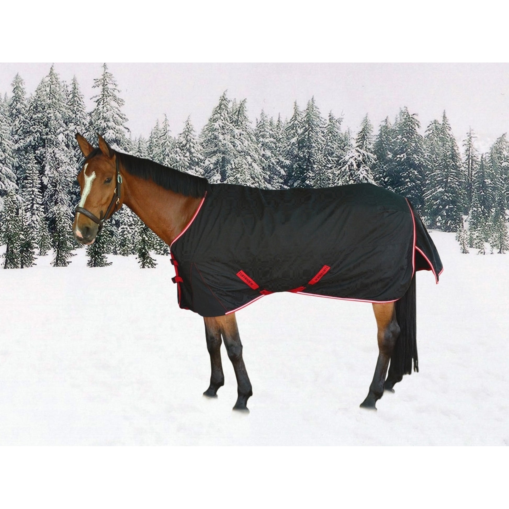 TuffRider Optimum 1680D Outer Armour 220 Gms Standard Neck