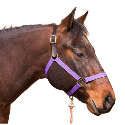 Intrepid Poly Breakaway Halter