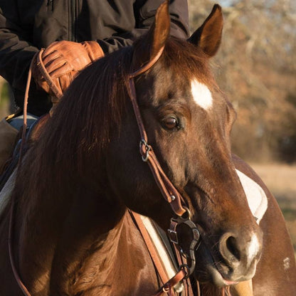 Professionals Choice CSE Single Ear Headstall