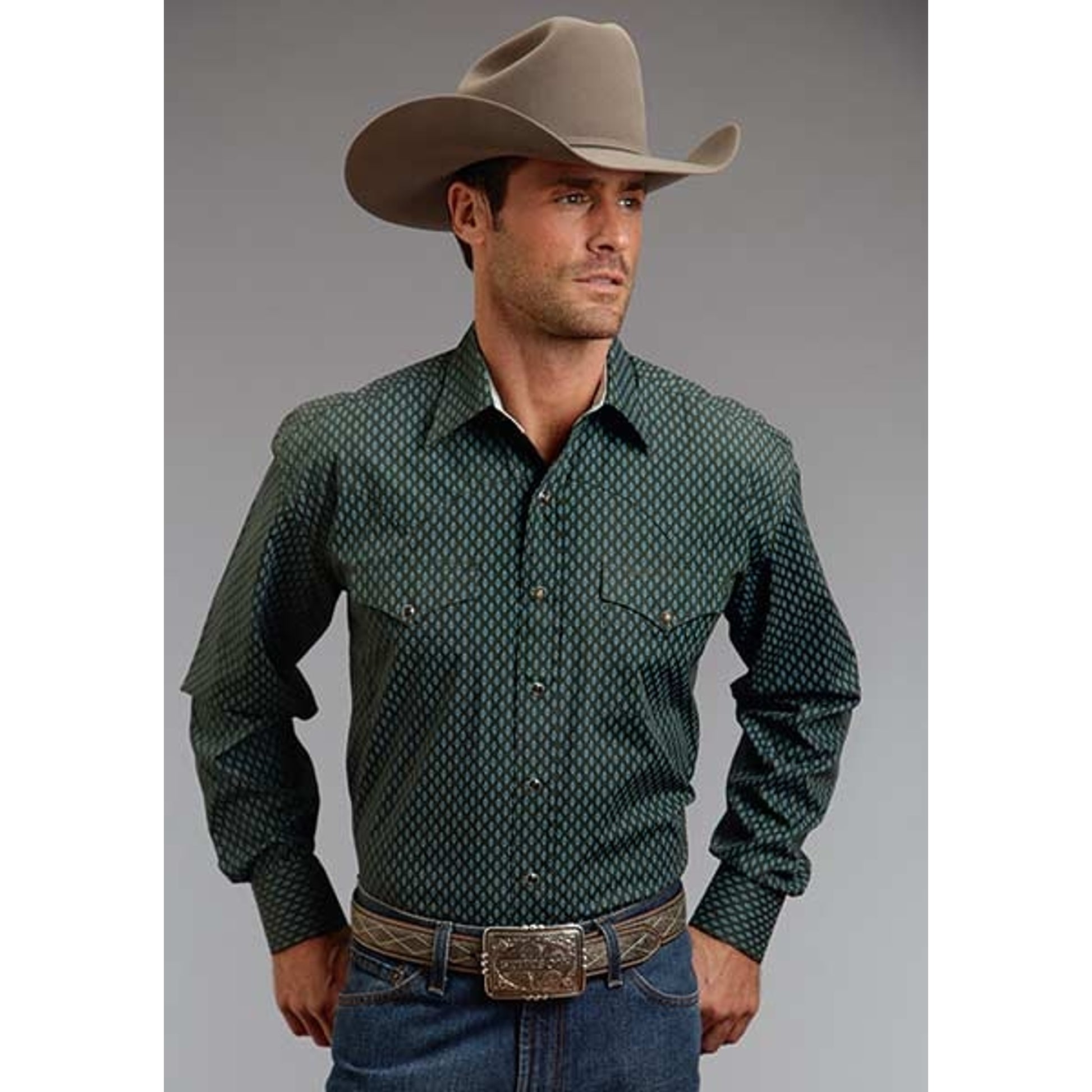Stetson Mens Fall II Vintage Leaf Neat Long Sleeve Snap Shirt
