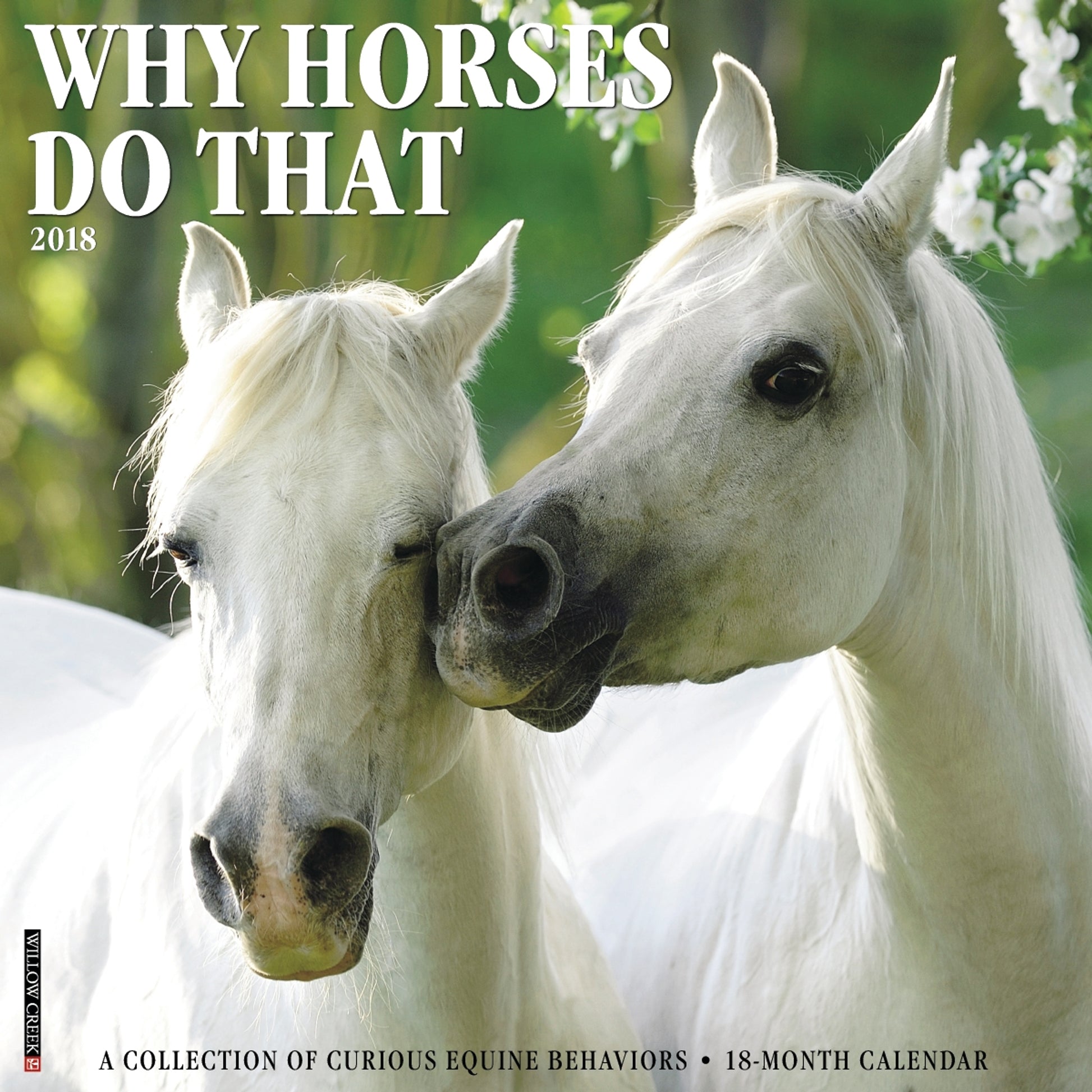 Kelley Why Horses Do That 2018 Calendar- 18 Month