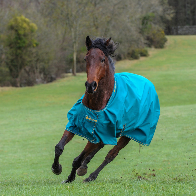 Bucas Irish Light-Weight Turnout Blanket 50g
