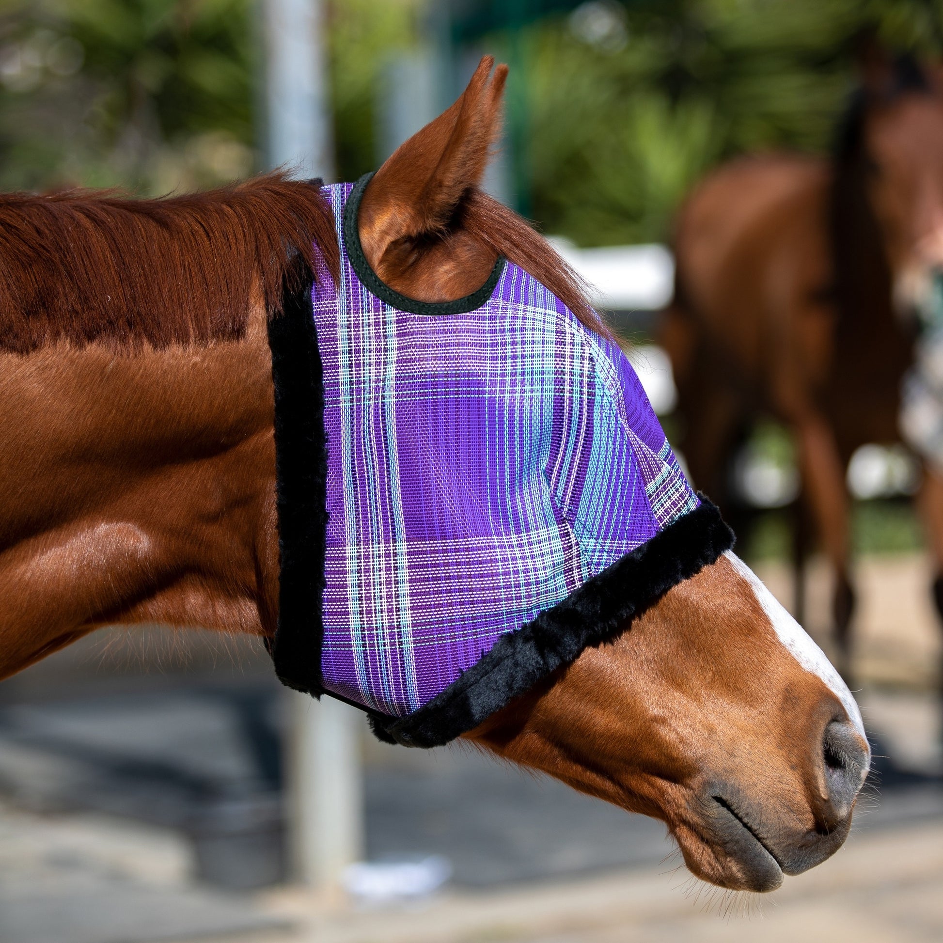 Kensington Draft UV Fleece Trim Fly Mask - Dual Ear & Forelock