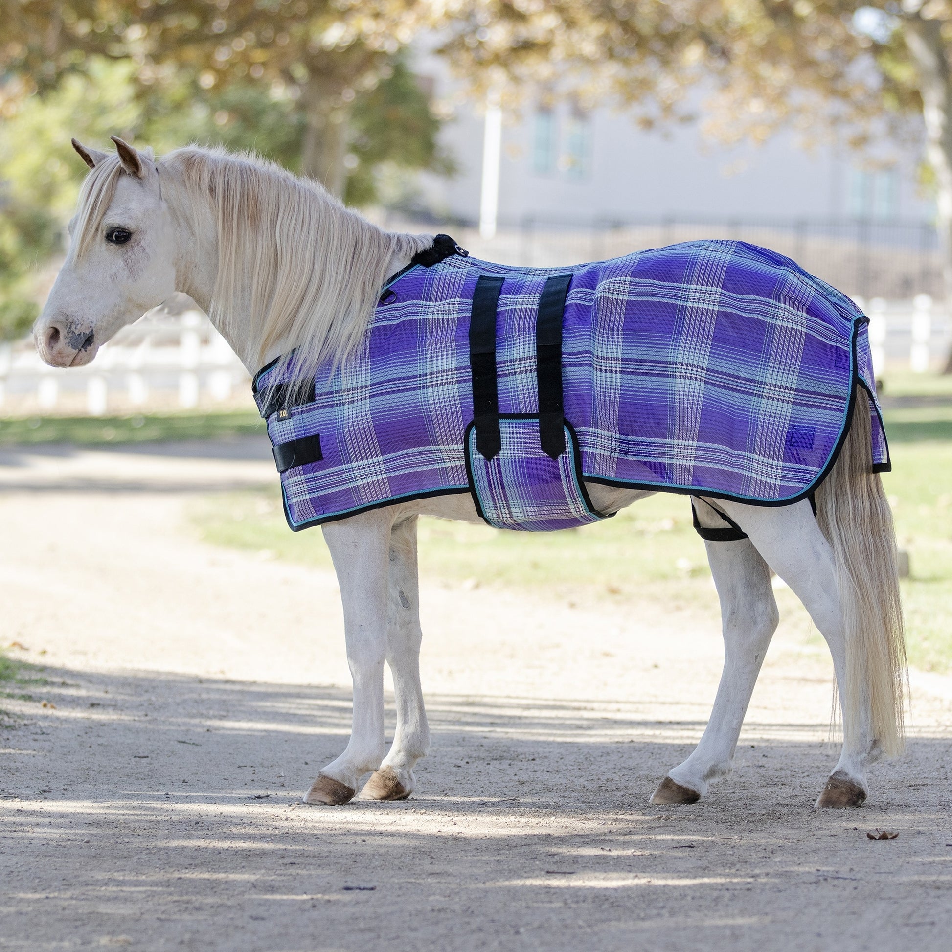 Kensington Mini Protective Fly Sheet