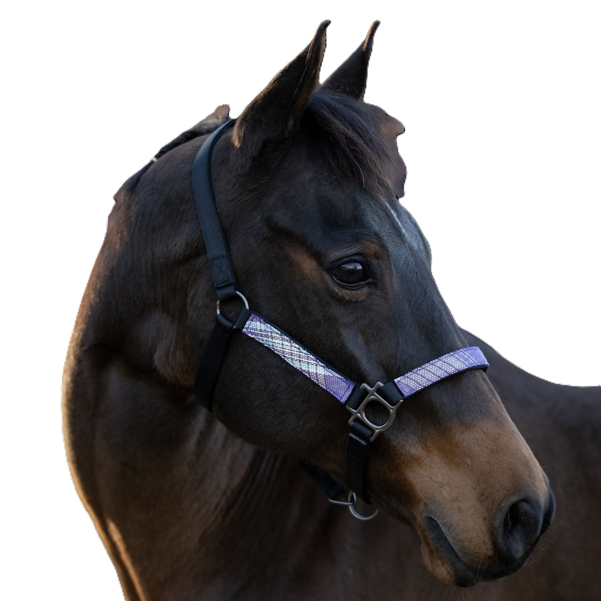 Kensington Reflective Breakaway Nylon Halter