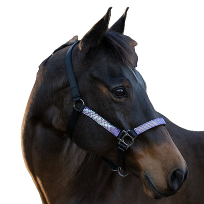 Kensington Reflective Breakaway Nylon Halter