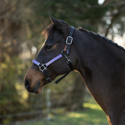 Kensington Reflective Breakaway Nylon Halter