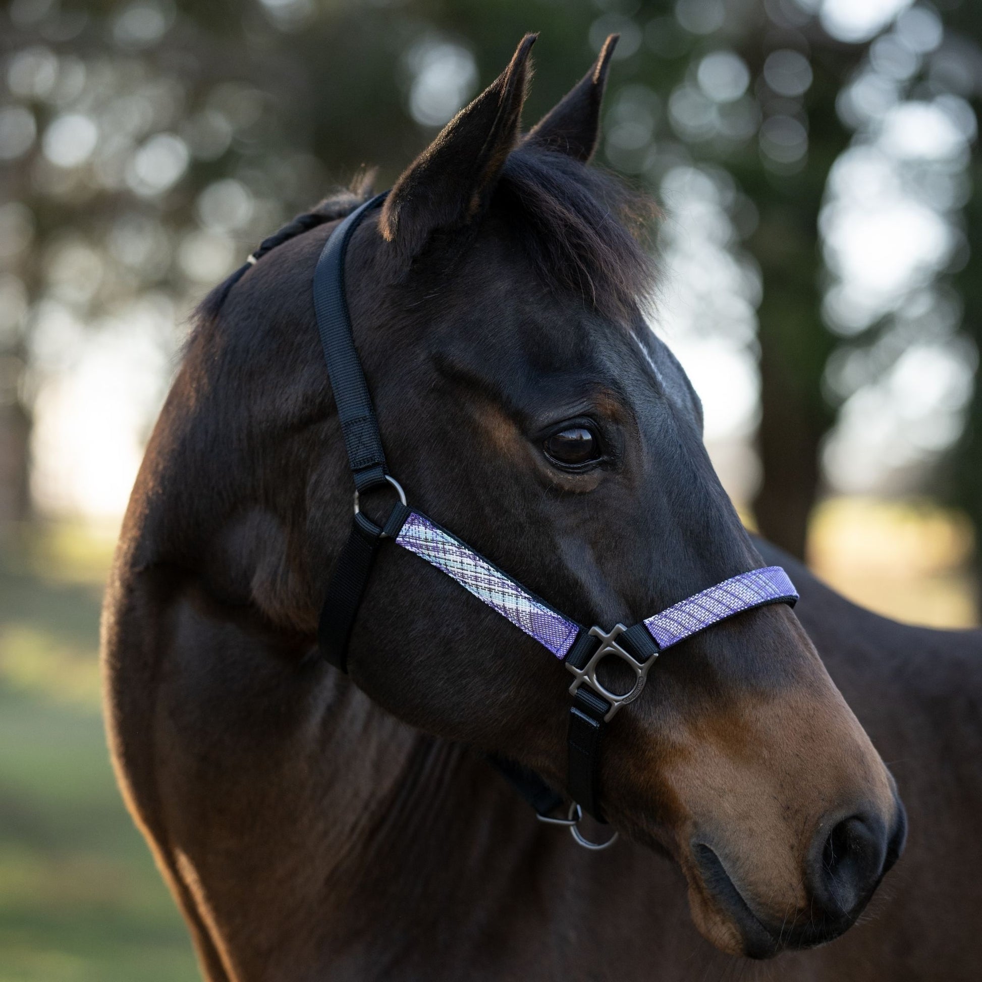 Kensington Reflective Breakaway Nylon Halter