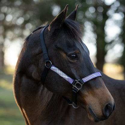 Kensington Reflective Breakaway Nylon Halter
