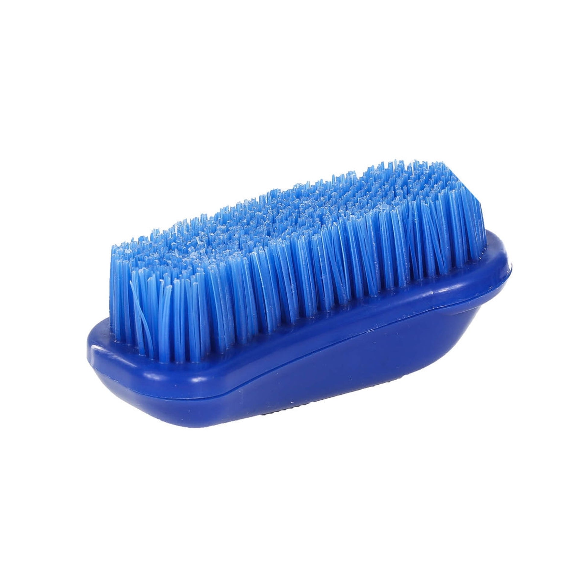 5-915665-bluebristles.jpg