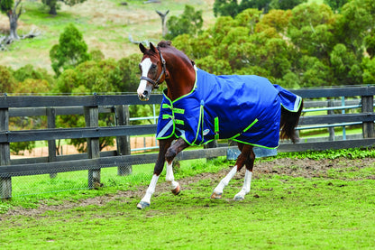 Weatherbeeta Comfitec Plus Dynamic Standard Neck Lite Blanket