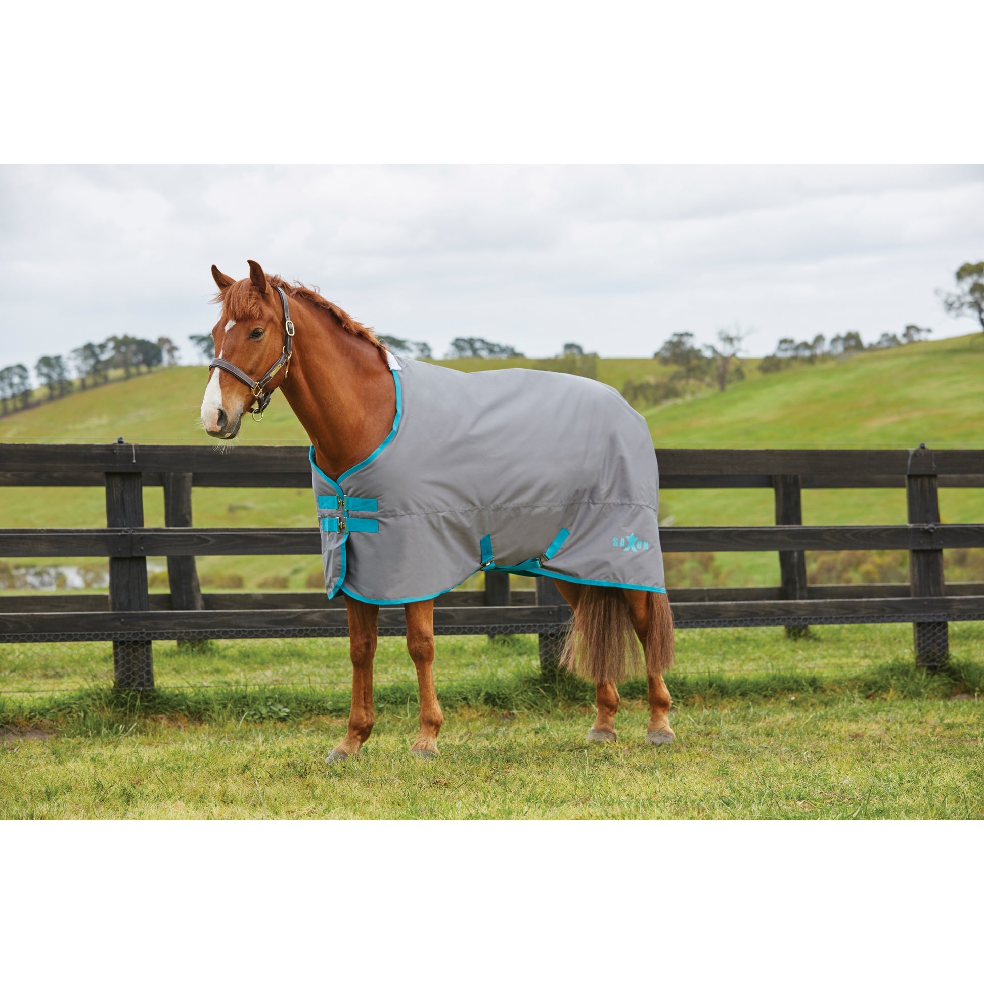 Saxon 600D Standard Neck Medium Turnout Blanket IV - Grey/Blue