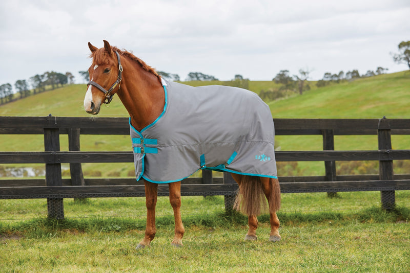 Saxon 600D Standard Neck Medium Turnout Blanket IV - Grey/Blue