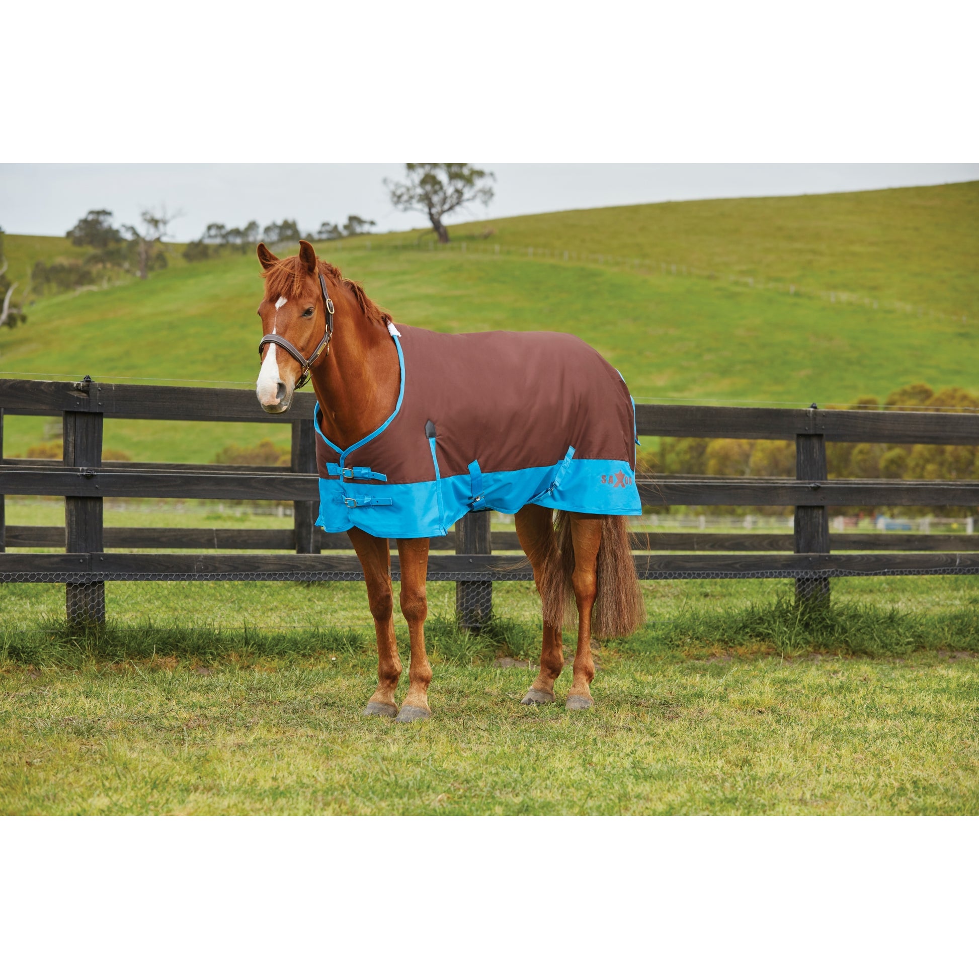 Saxon 600D Standard Neck Lite Turnout Blanket With Gusset ll - Brown/Royal