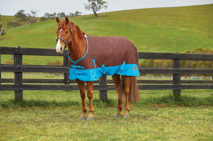 Saxon 600D Standard Neck Lite Turnout Blanket With Gusset ll - Brown/Royal