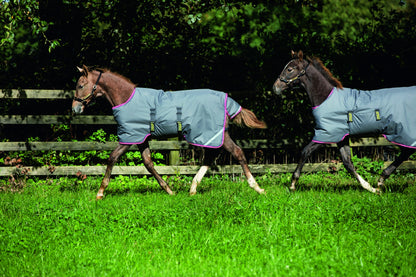Amigo Foal Turnout Blanket