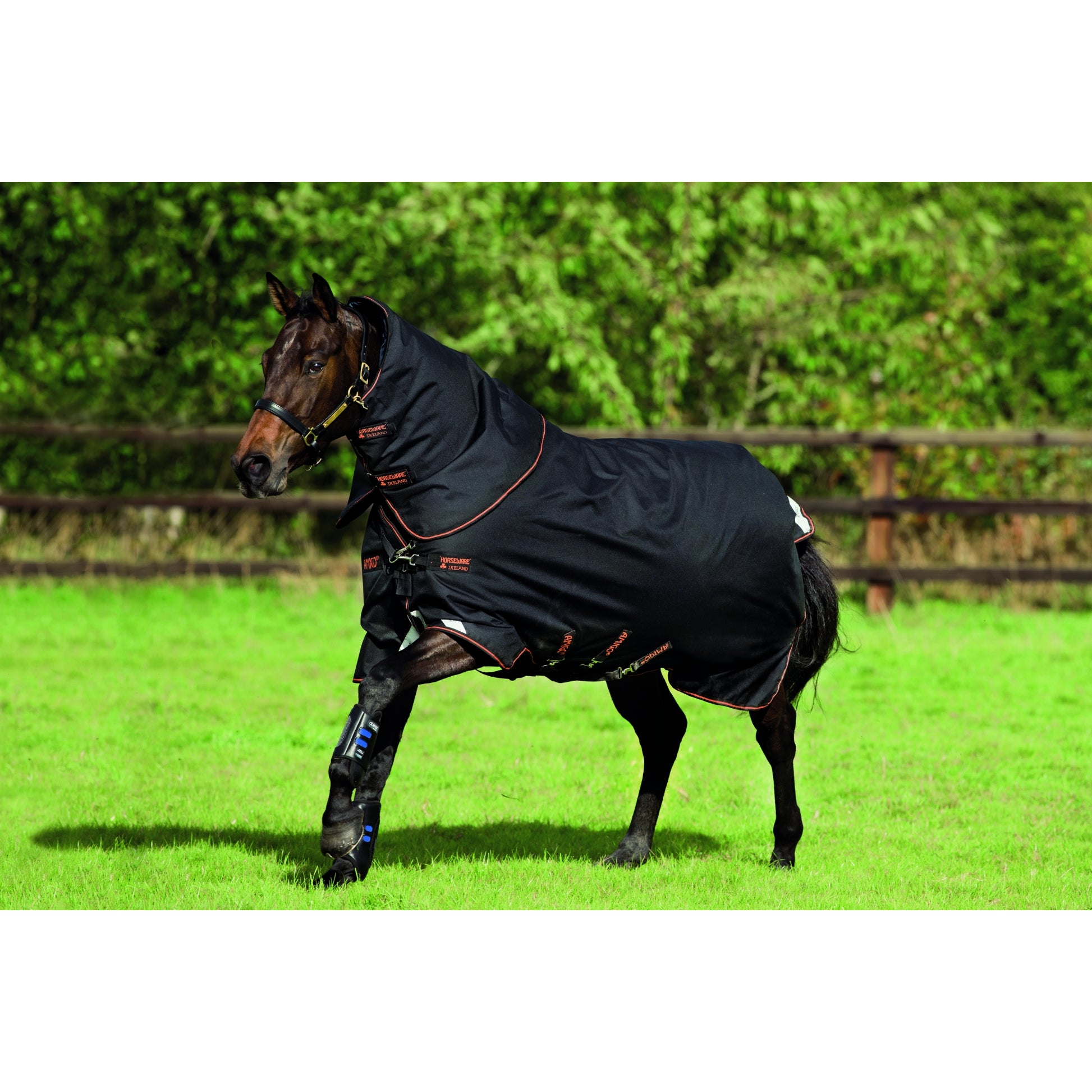 Amigo Bravo 12 Plus Turnout (250g Medium)