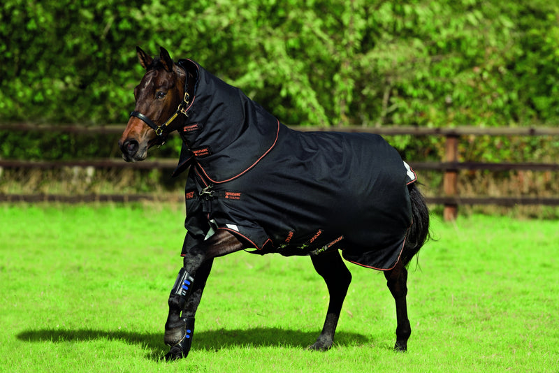 Amigo Bravo 12 Plus Turnout (250g Medium)
