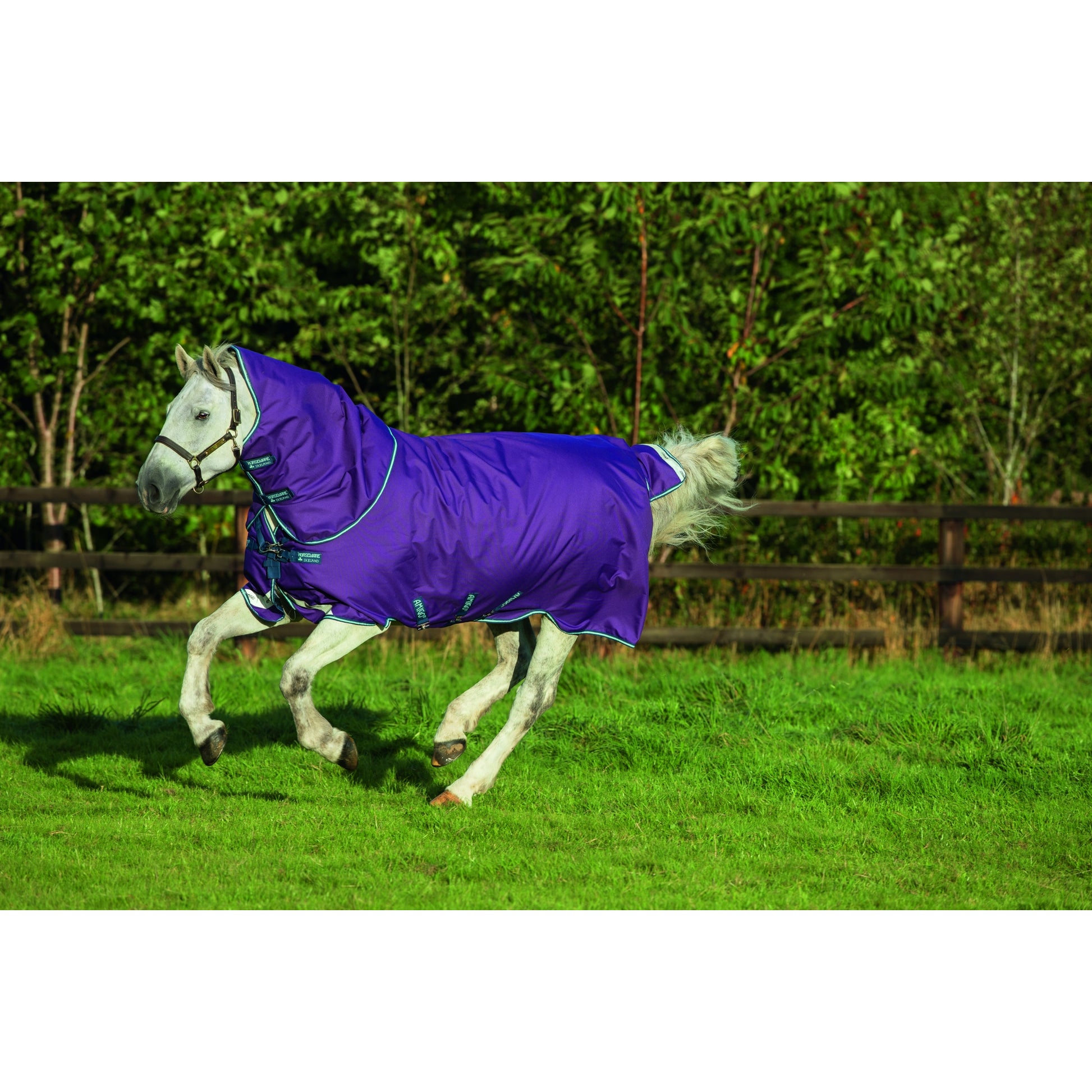 Amigo Bravo 12 Plus Turnout (250g Medium)