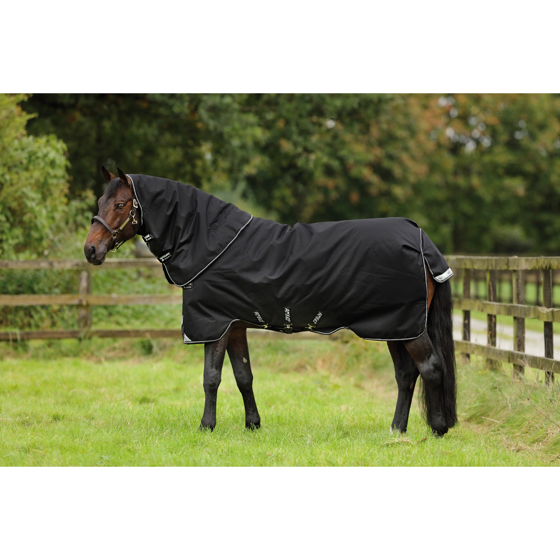Amigo Bravo 12 Plus Turnout Heavy