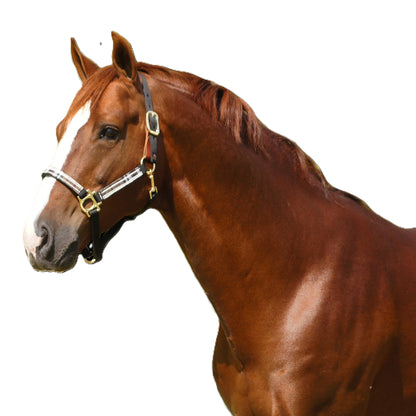 Kensington Reflective Breakaway Nylon Halter