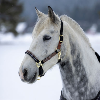 Kensington Reflective Breakaway Nylon Halter