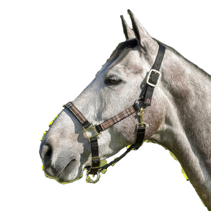 Kensington Reflective Nylon Halter
