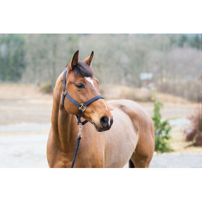 Horze Halter and Lead Set