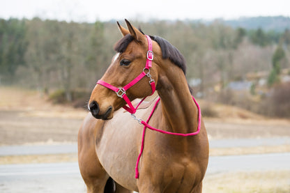 Horze Halter and Lead Set