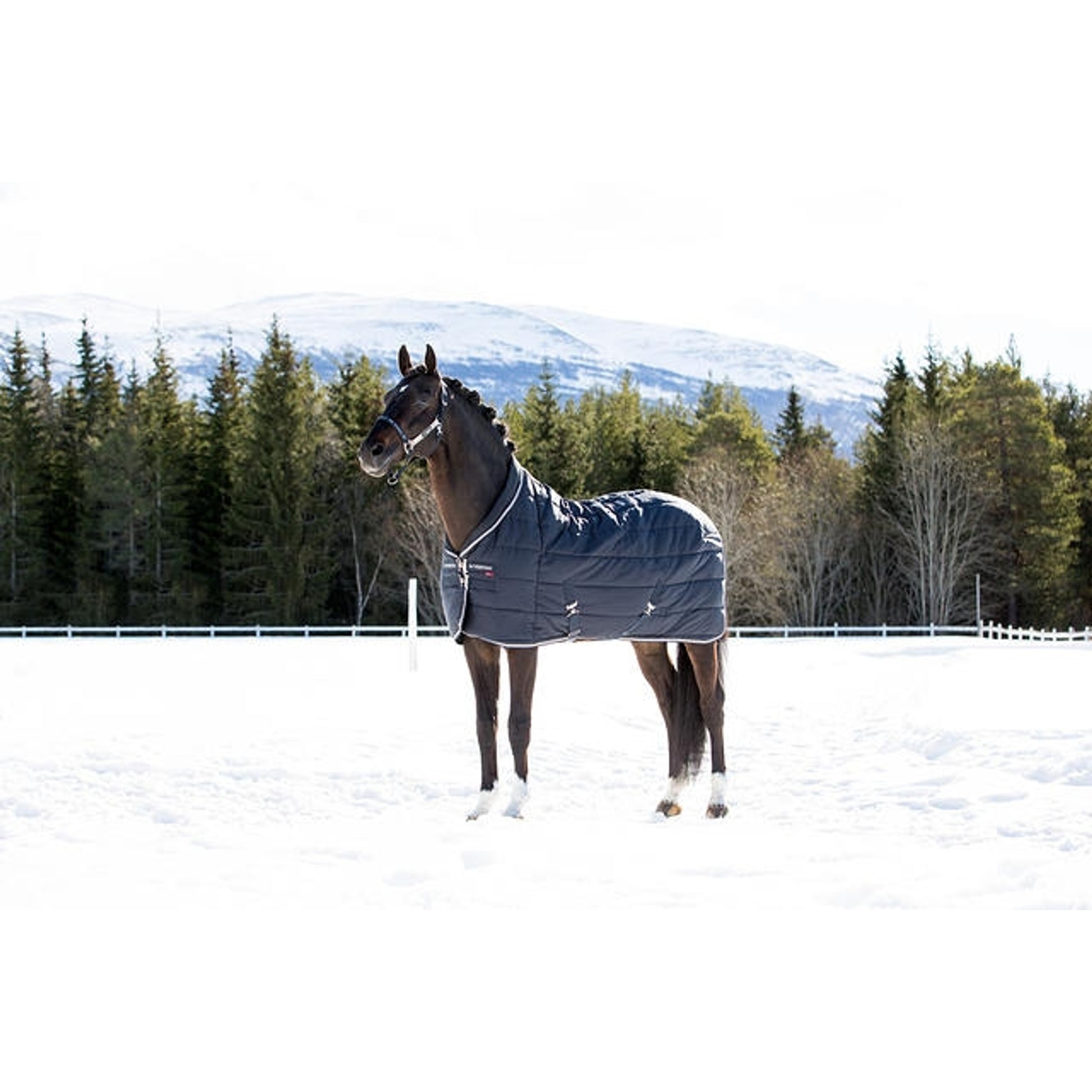 B Vertigo Tim Heavyweight Stable Blanket - 400g