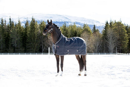 B Vertigo Tim Heavyweight Stable Blanket - 400g