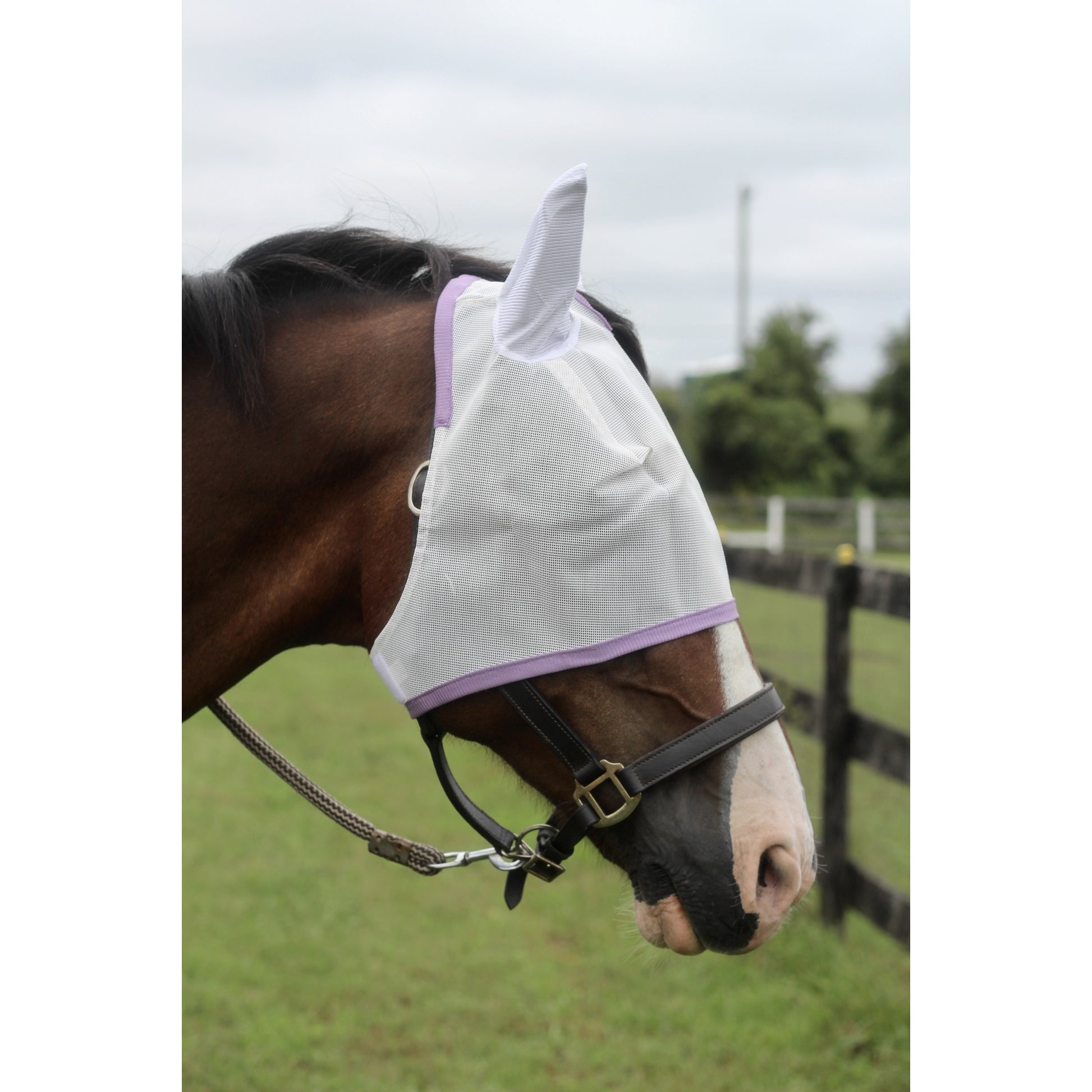 Tuffrider Fly Mask With Ears