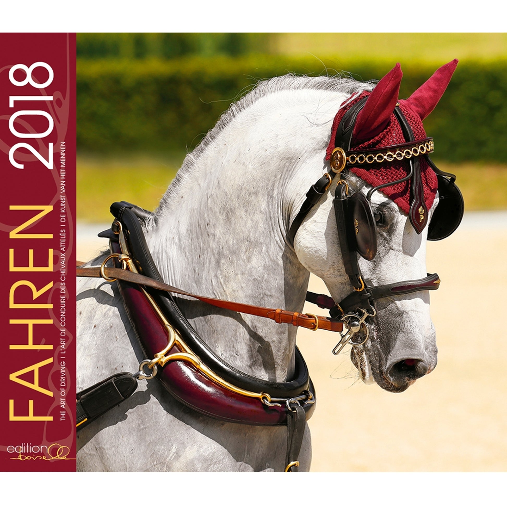 Gabriele Boiselle Calendar Boiselle Driving Culture - 2018