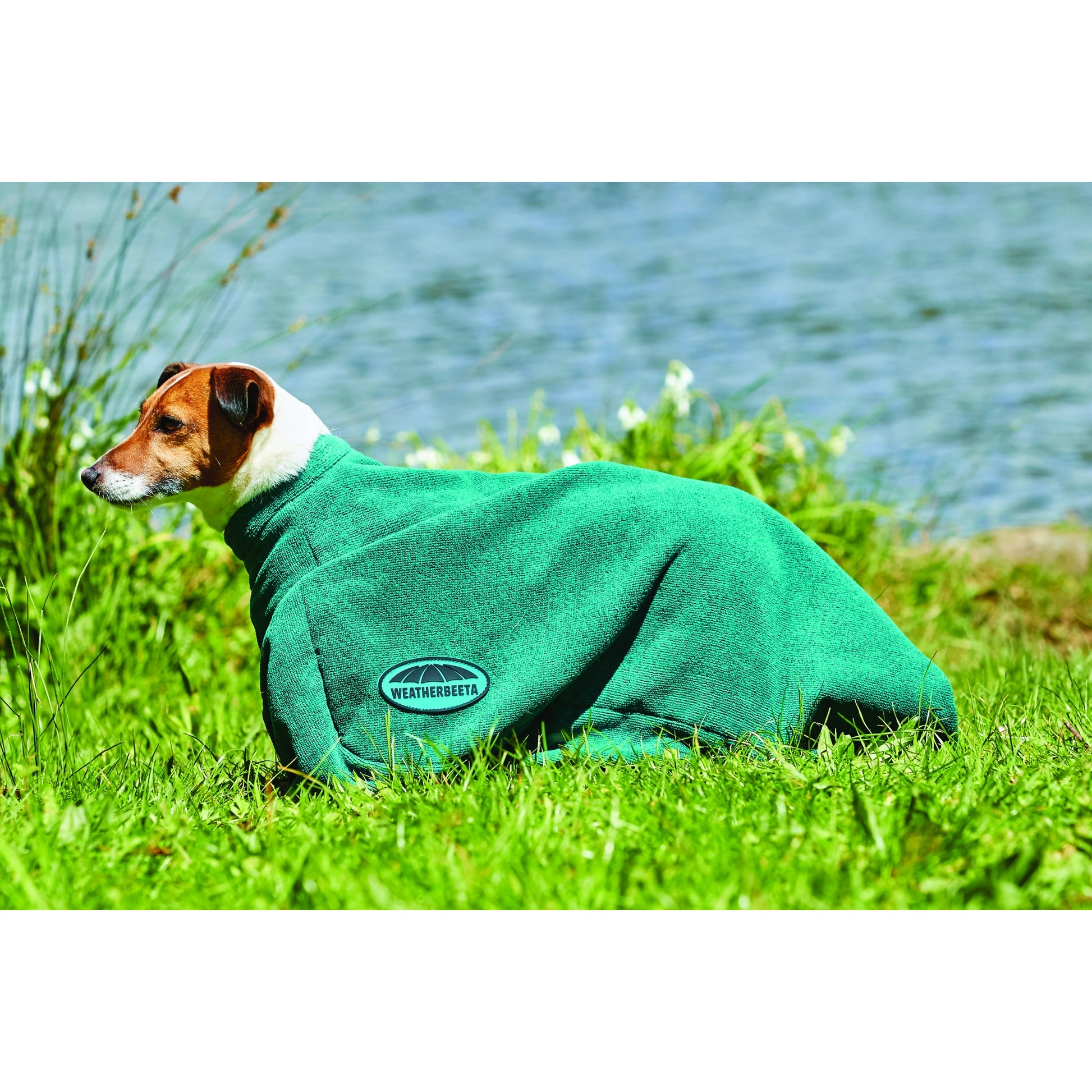 Weatherbeeta Dry-Dog Bag