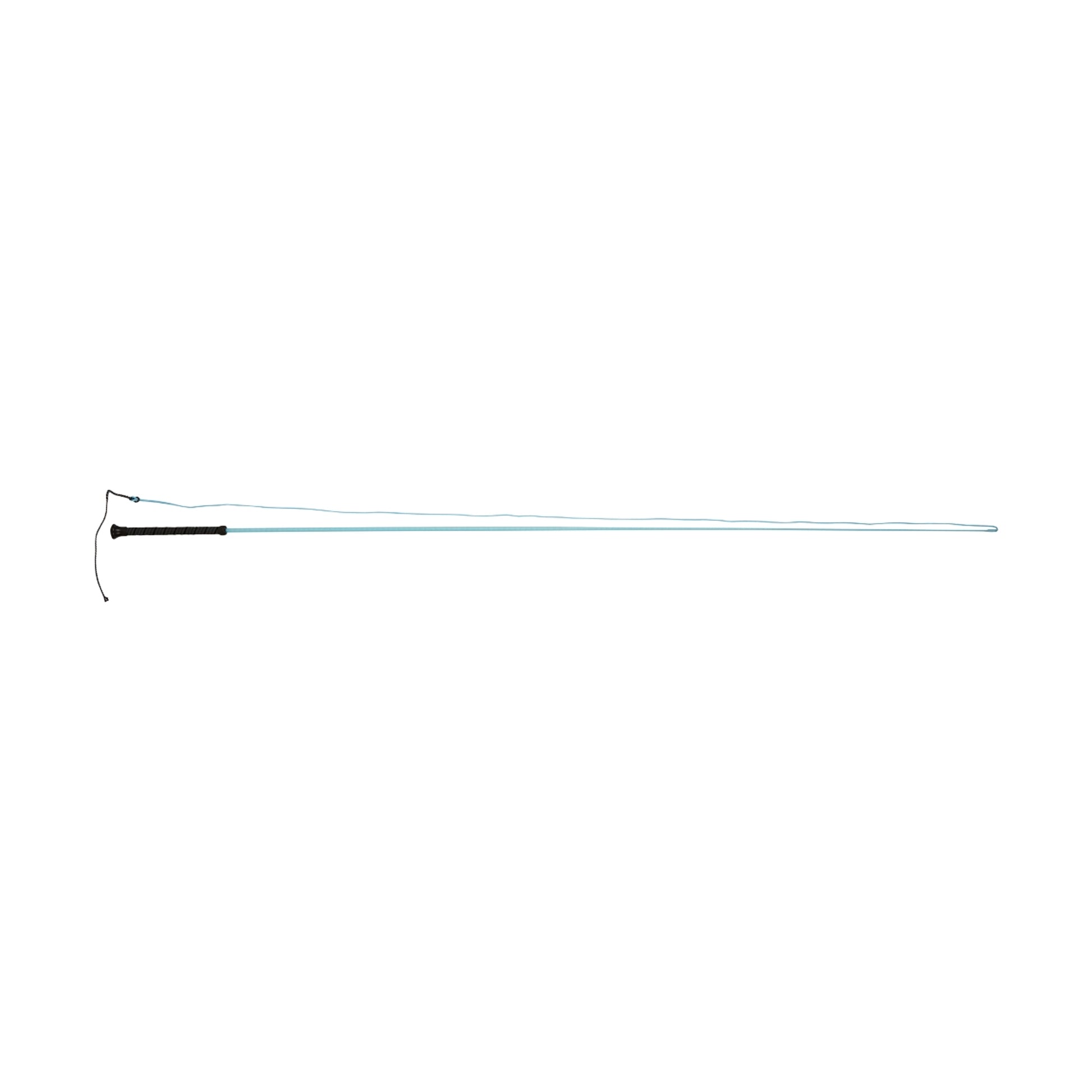 Dublin Brights Lunge Whip