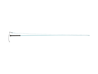 Dublin Brights Lunge Whip