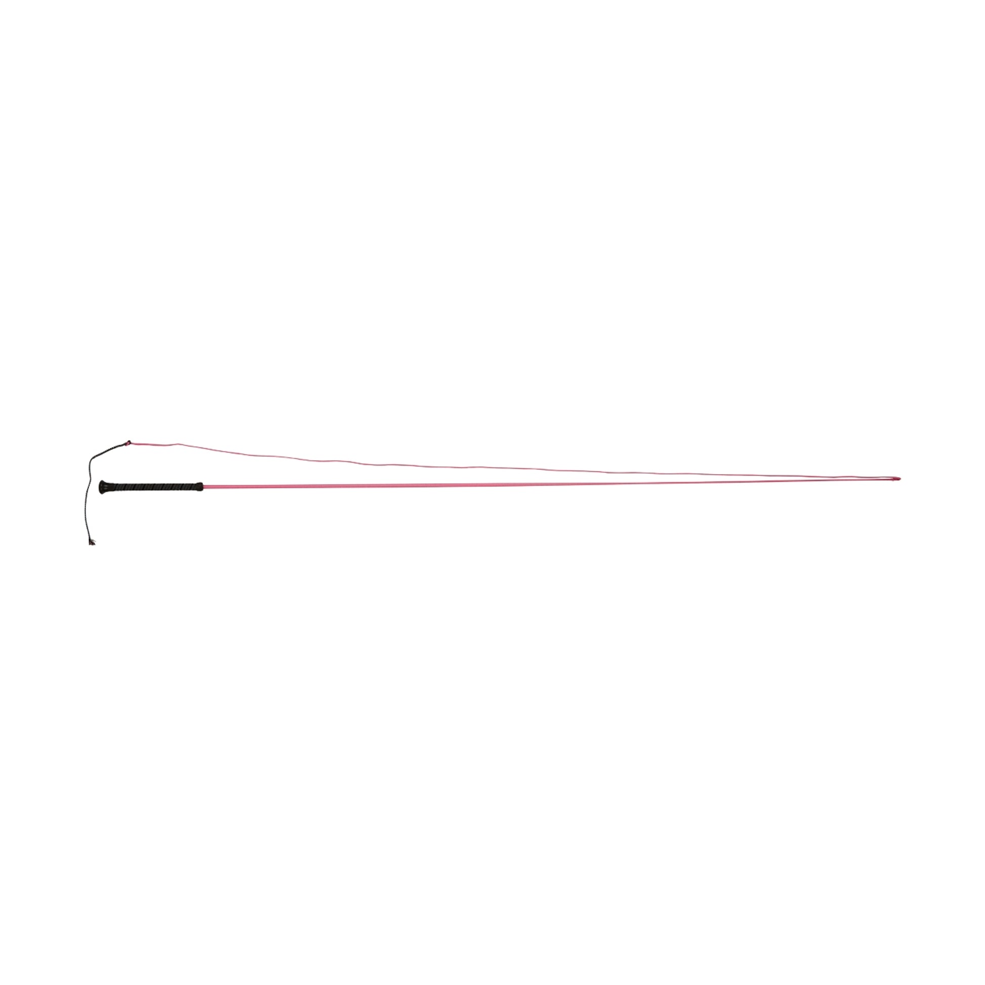 Dublin Brights Lunge Whip