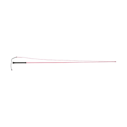 Dublin Brights Lunge Whip