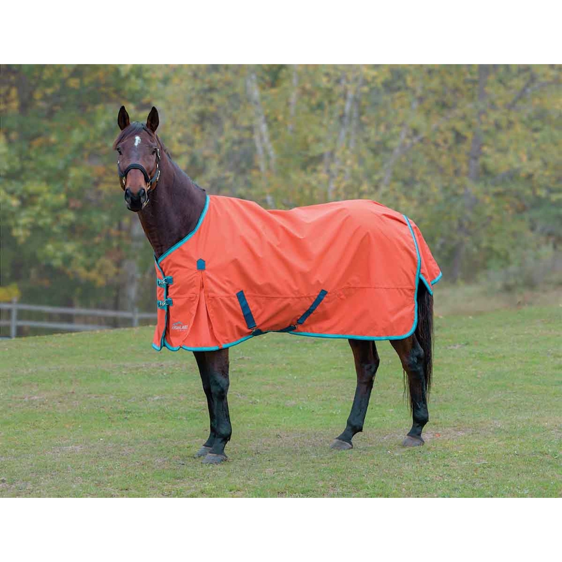 Shires Highlander Plus Lite Standard Neck
