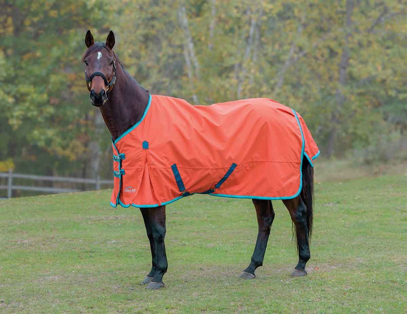 Shires Highlander Plus Lite Standard Neck
